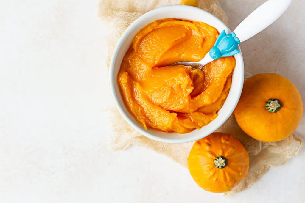 Kürbisbrei Rezept Baby Beikost