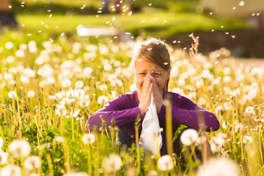 Heuschnupfen bei Kindern: Was kann man gegen die Allergie tun?