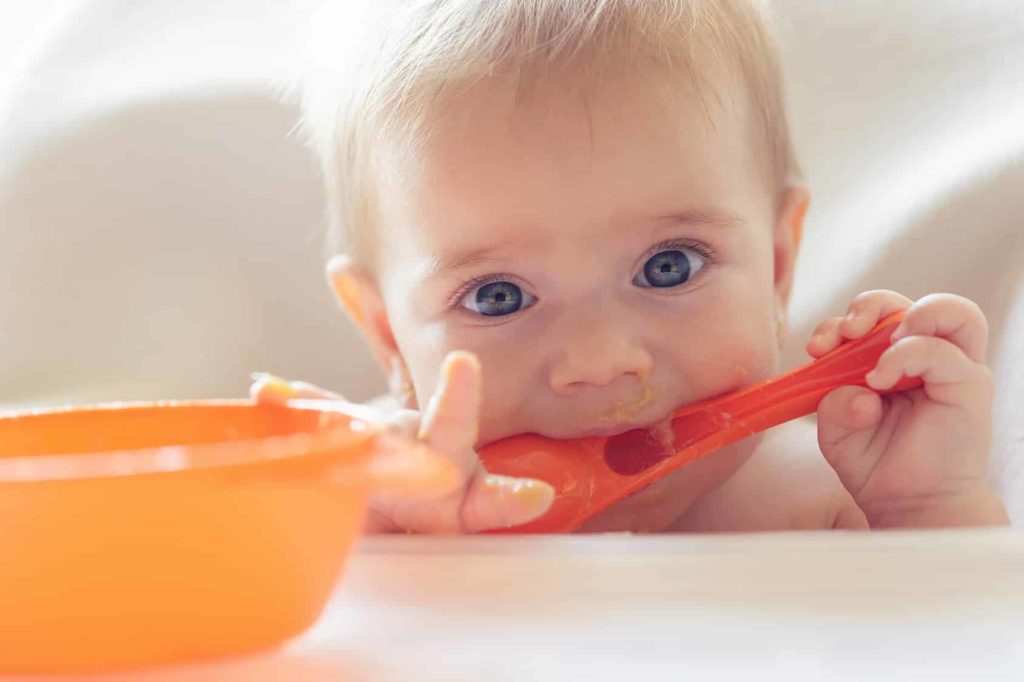 Babybrei - Beikost Rezept - Kartoffel Gemüse Pute