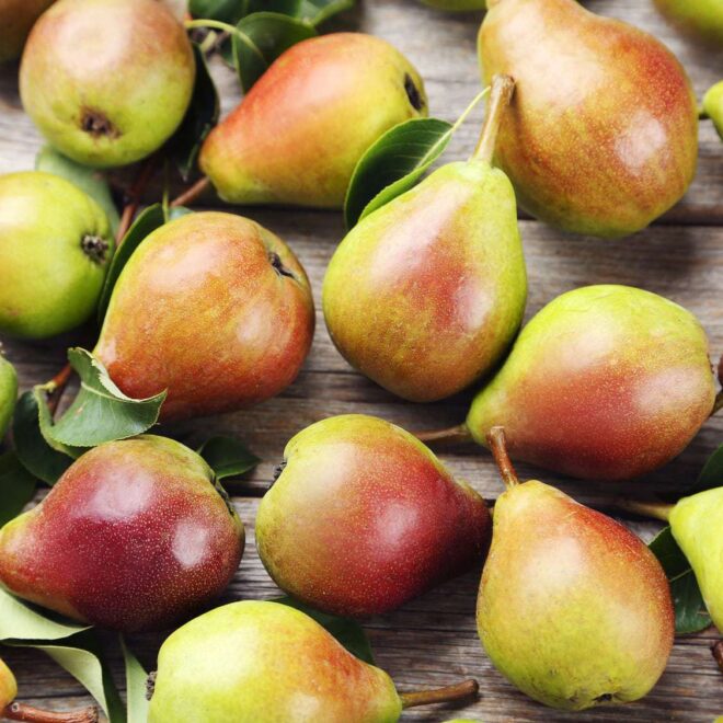 Beikost Rezept: stuhlauflockernder Birnen-Dinkel-Brei