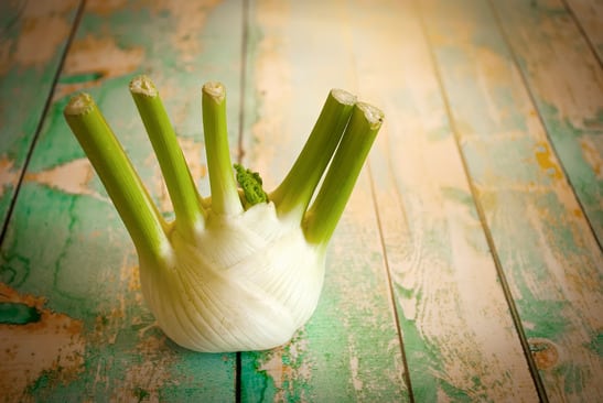 Fenchel Kartoffel Brei - Beikost Rezept