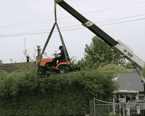 Ab in die Hecke XXL