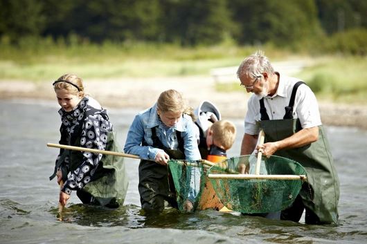 Limfjordland Dänemark Familienurlaub