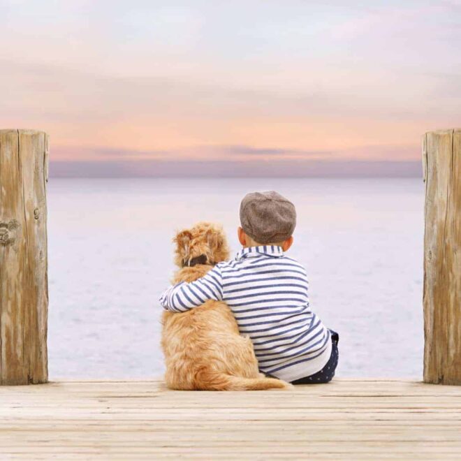 Wie Kinder auf natürliche Weise Verantwortung lernen
