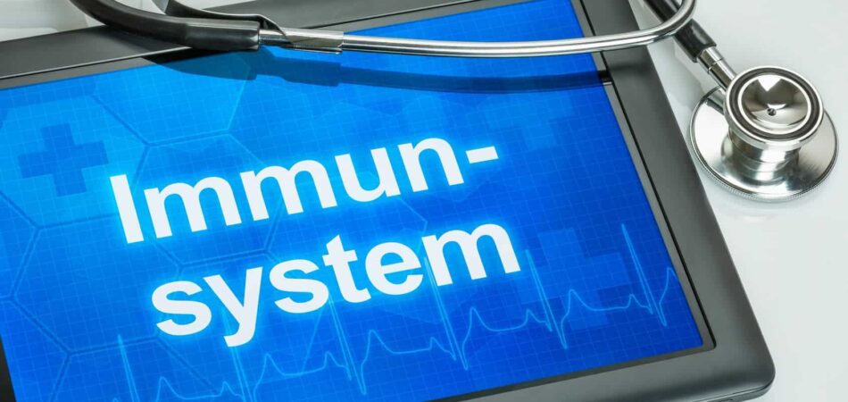 Immunsystem - Immunschwäche