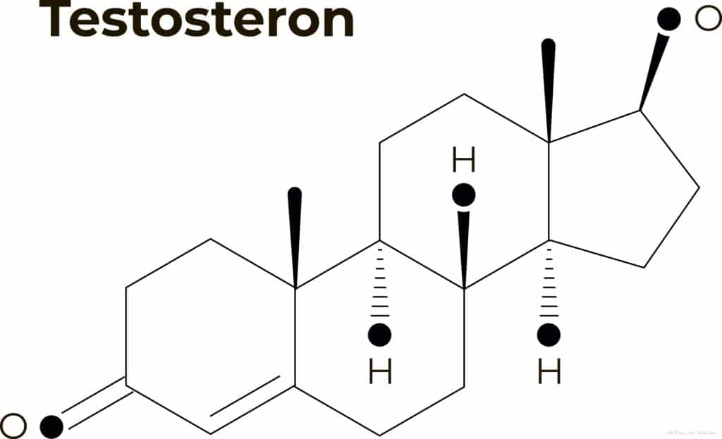 Schematischer Aufbau des Hormons Testosteron.