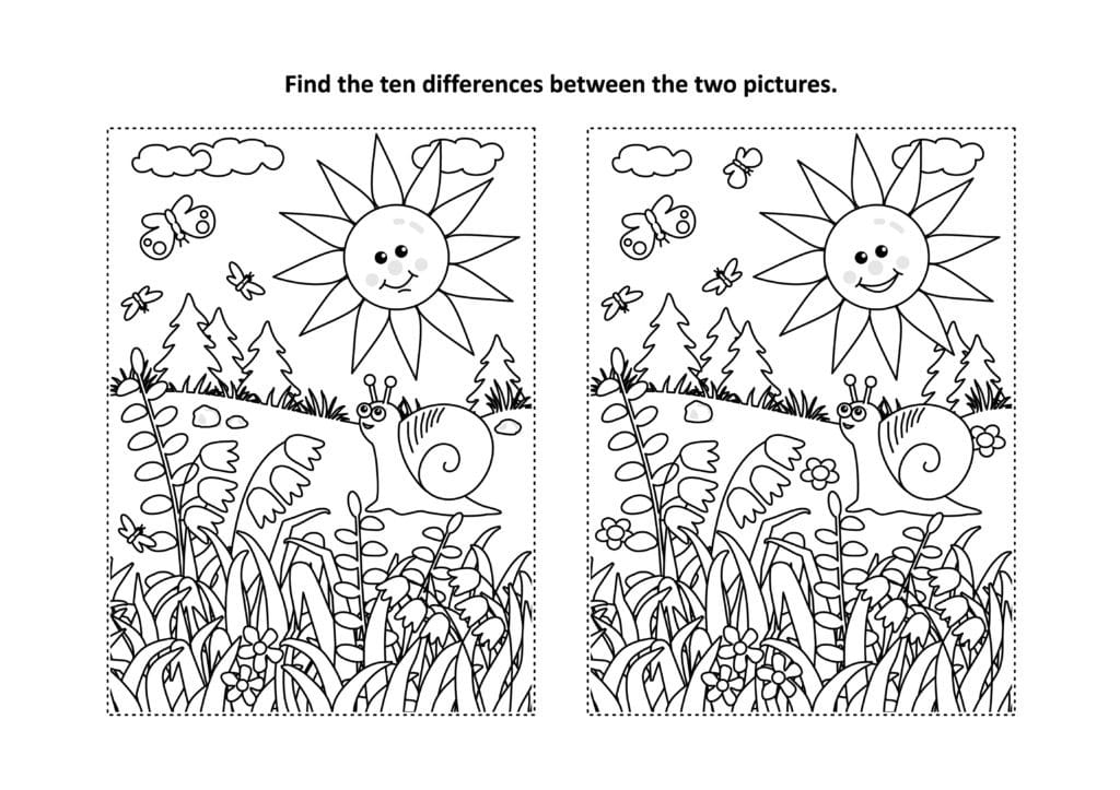 Bilderrätsel Unterschiede Ausmalbild Blumenwiese