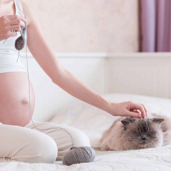Toxoplasmose Schwangerschaft