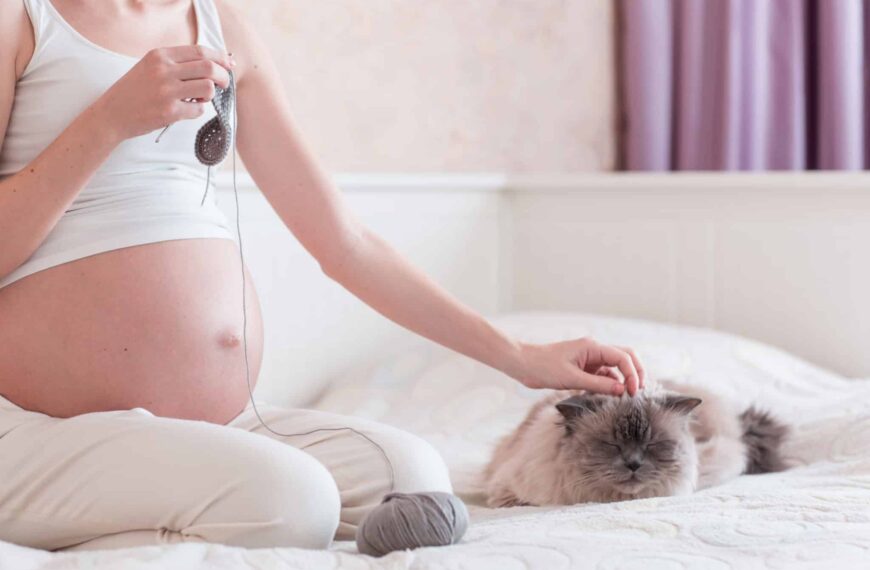 Toxoplasmose Schwangerschaft