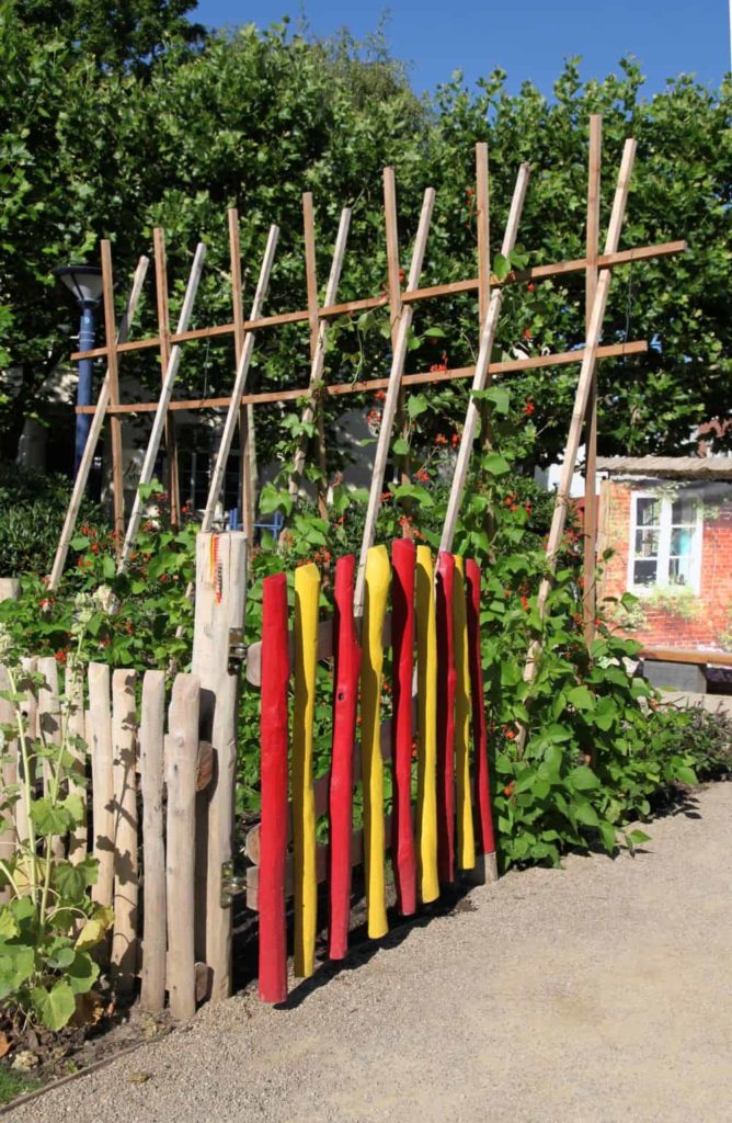 Stangenbohnen im Garten