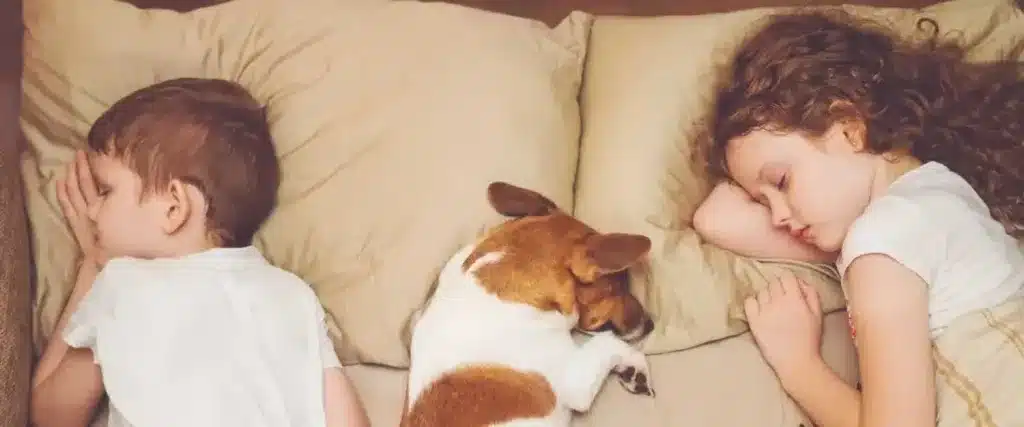 Hund und Kinder im Bett