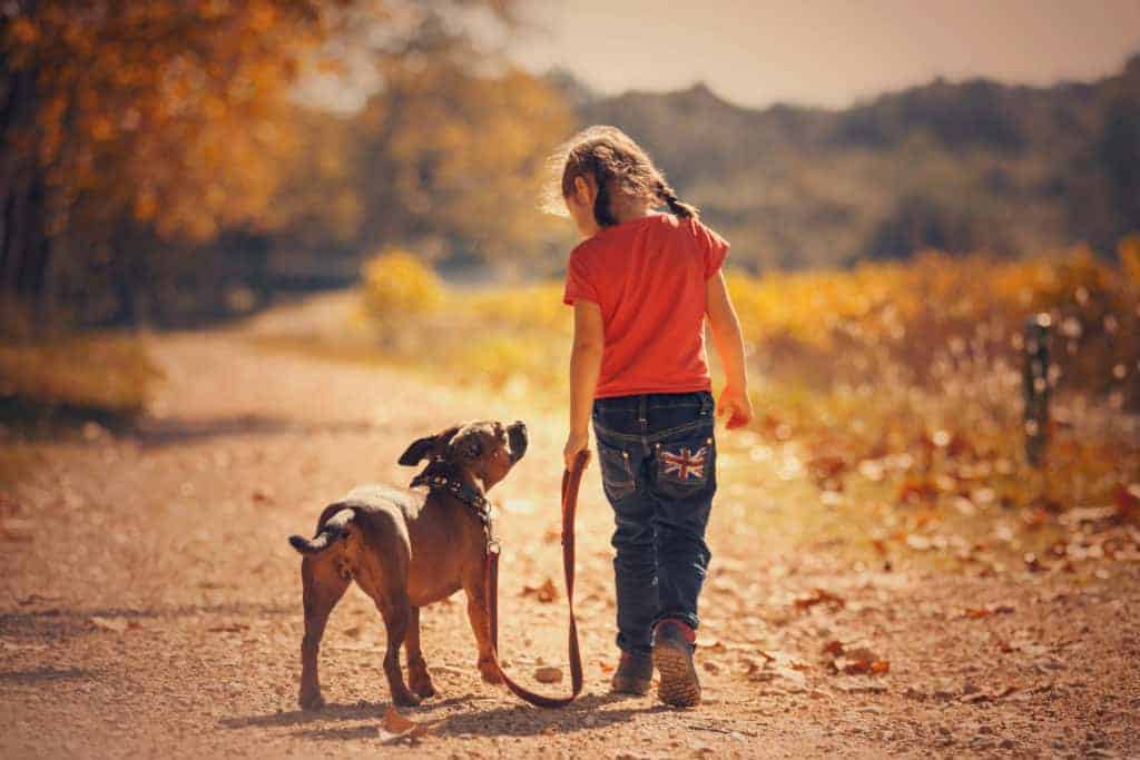 Mädchen und Hund gehen Gassi