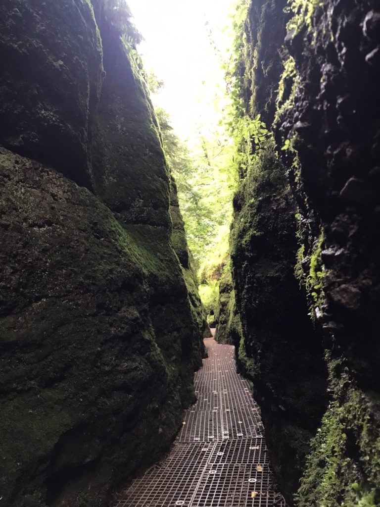 Drachenschlucht 07 Vivace Schreurs