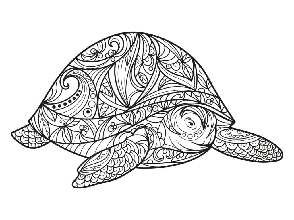 Mandala Ausmalbild 16 Schildkröte
