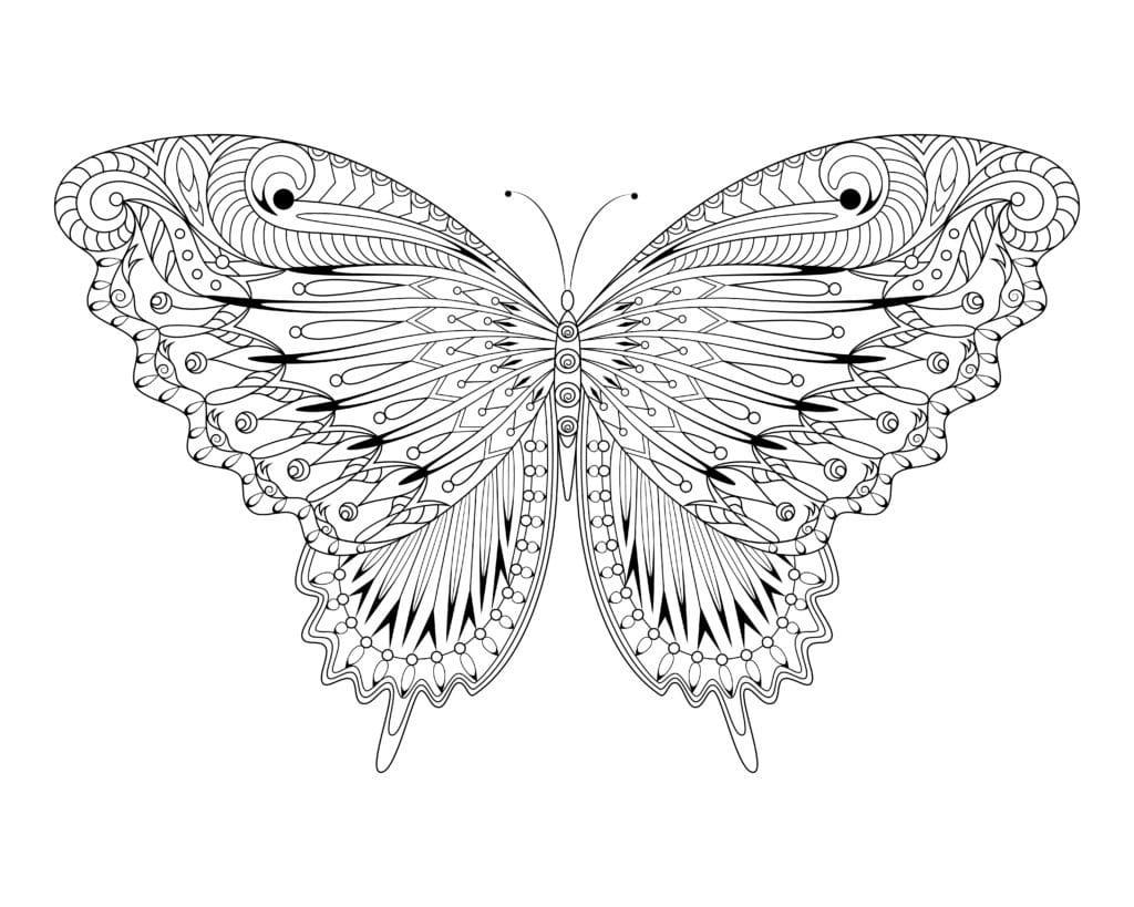 Mandala Ausmalbild 21 Schmetterling