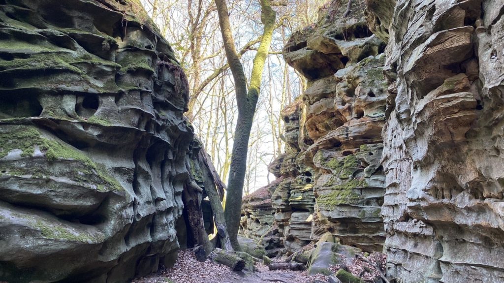 Blick in die Teufelsschlucht in der Südeifel.