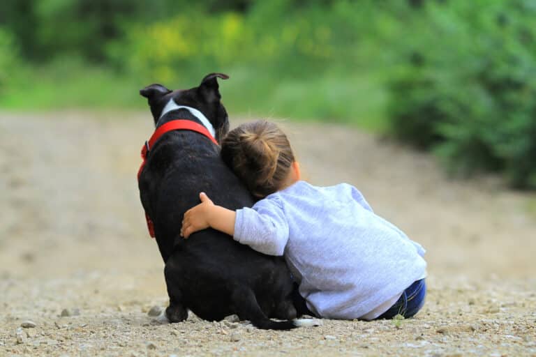 Mysteriöse Abdrücke auf frisch gestrichener Wand: Dreijährige beschuldigt Hund