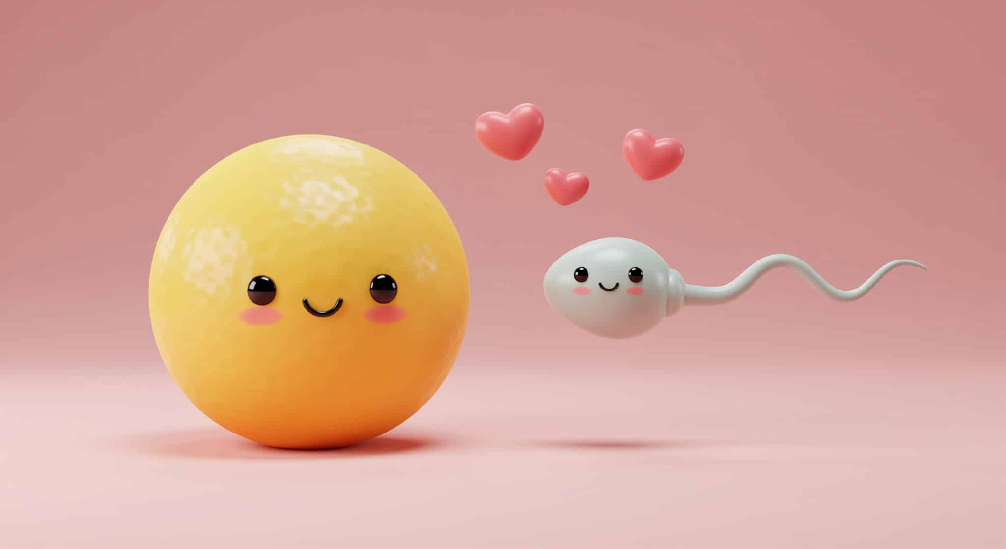 Wie lange überleben Spermien