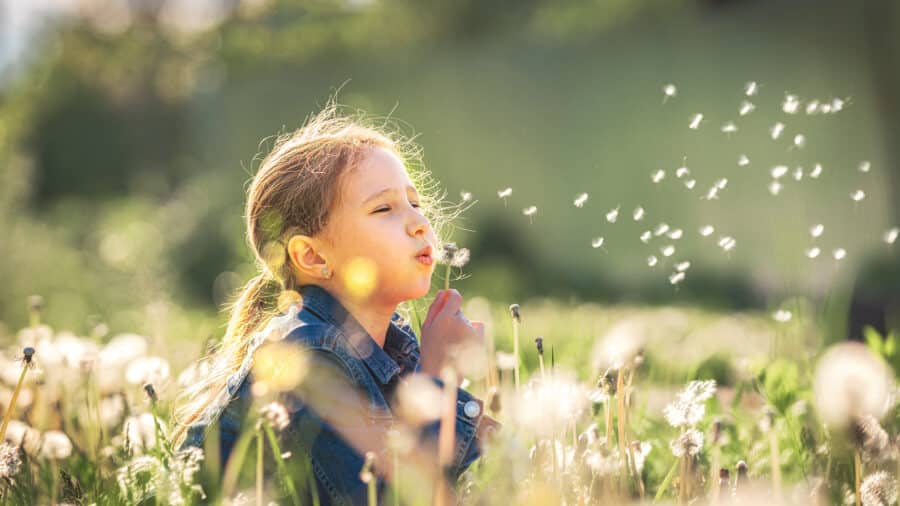 Hochsensible Kinder und die stille Superkraft, die Familien wirklich verändert