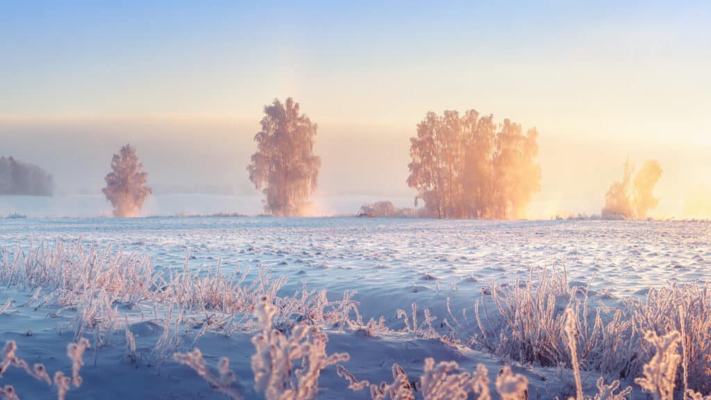 Horoskop Februar 2026 – Das erwartet euch diesen Monat