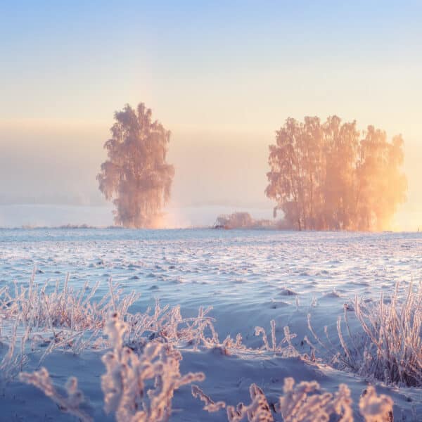 Horoskop Februar 2026 – Das erwartet euch diesen Monat