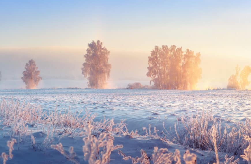 Horoskop Februar 2026 – Das erwartet euch diesen Monat