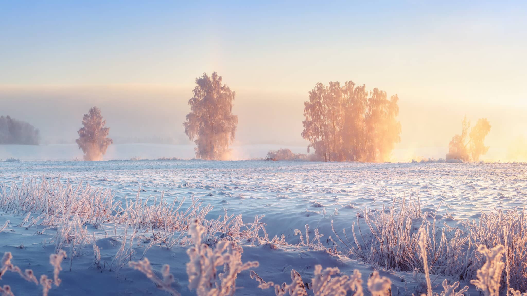 Horoskop Februar 2026 – Das erwartet euch diesen Monat