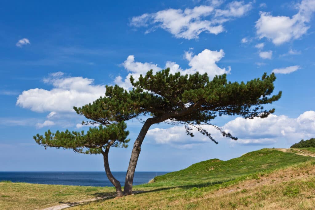 Dänemark Nordseeland - dänische Riviera