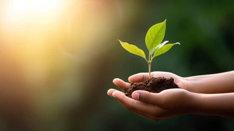 Earth Day mit Kindern: 10 einfache Ideen für euren Familienalltag