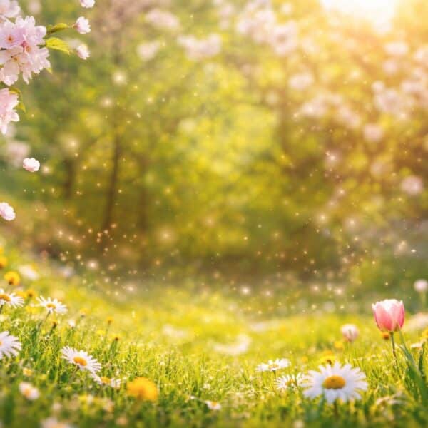 Monatshoroskop April 2026