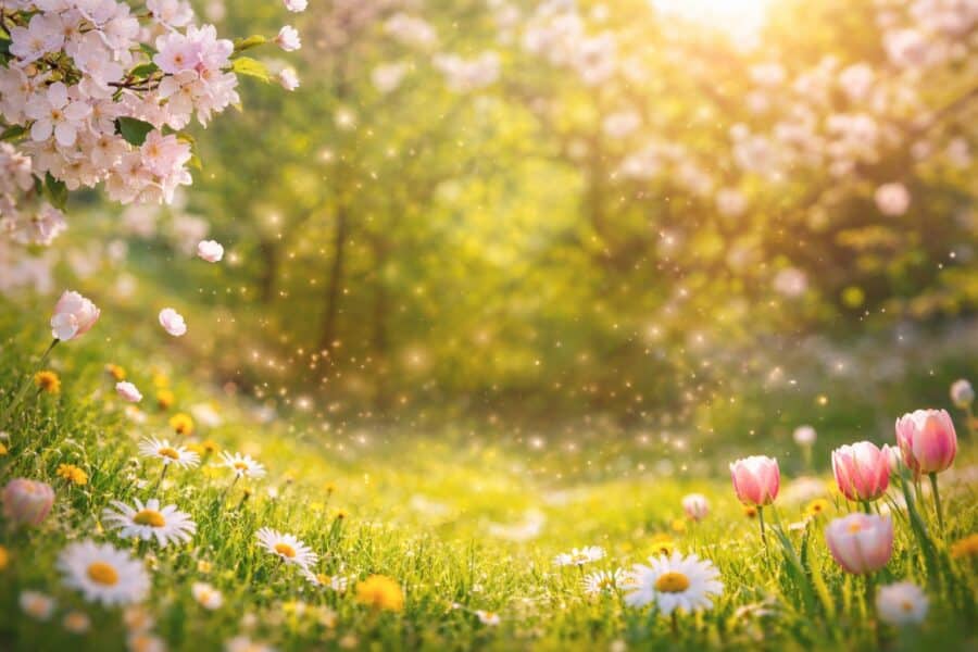 Horoskop April 2026: Für diese Sternzeichen wird jetzt alles leichter