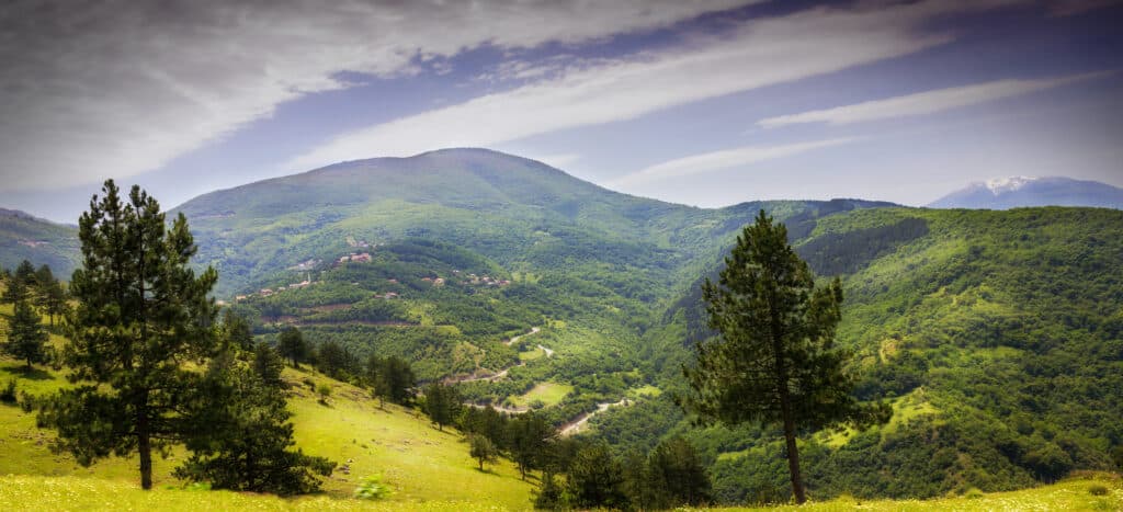 Hügelige Wälder in Kosovo