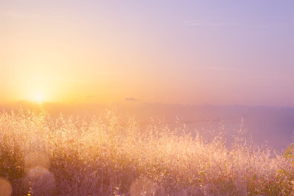Horoskop September 2026: Das bringt der Monat für dein Sternzeichen