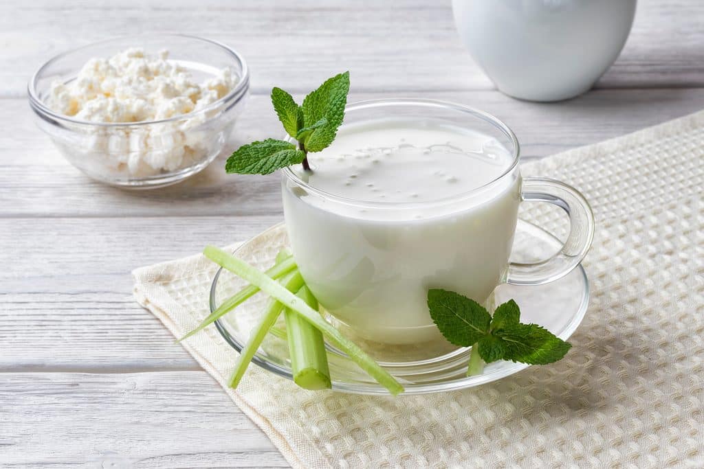 Ayran oder Kefirgetränk, fermentiertes Milchgetränk mit probiotischen Kulturen vor weißem Hintergrund