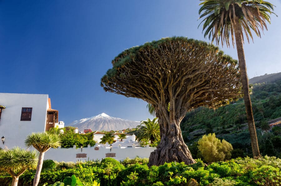 Herbstferien auf Teneriffa: Sonne und Familienzeit