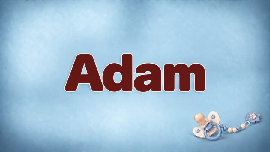 Adam: Bedeutung, Herkunft und Beliebtheit des Vornamens
