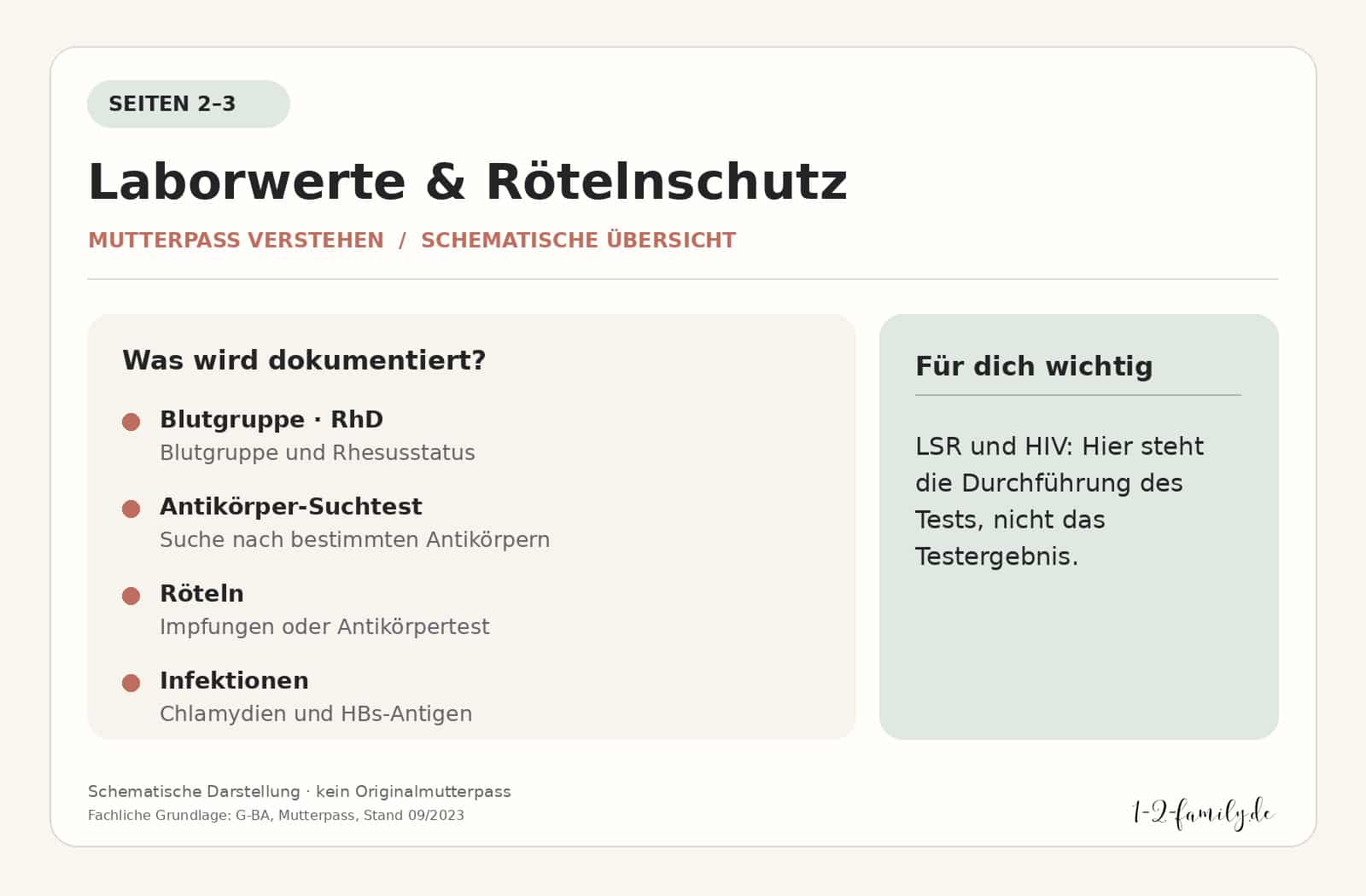Schematische Übersicht der Mutterpass-Seiten 2 und 3 mit Blutgruppe, RhD, Antikörper-Suchtest und Infektionsuntersuchungen. Kein Originalmutterpass.