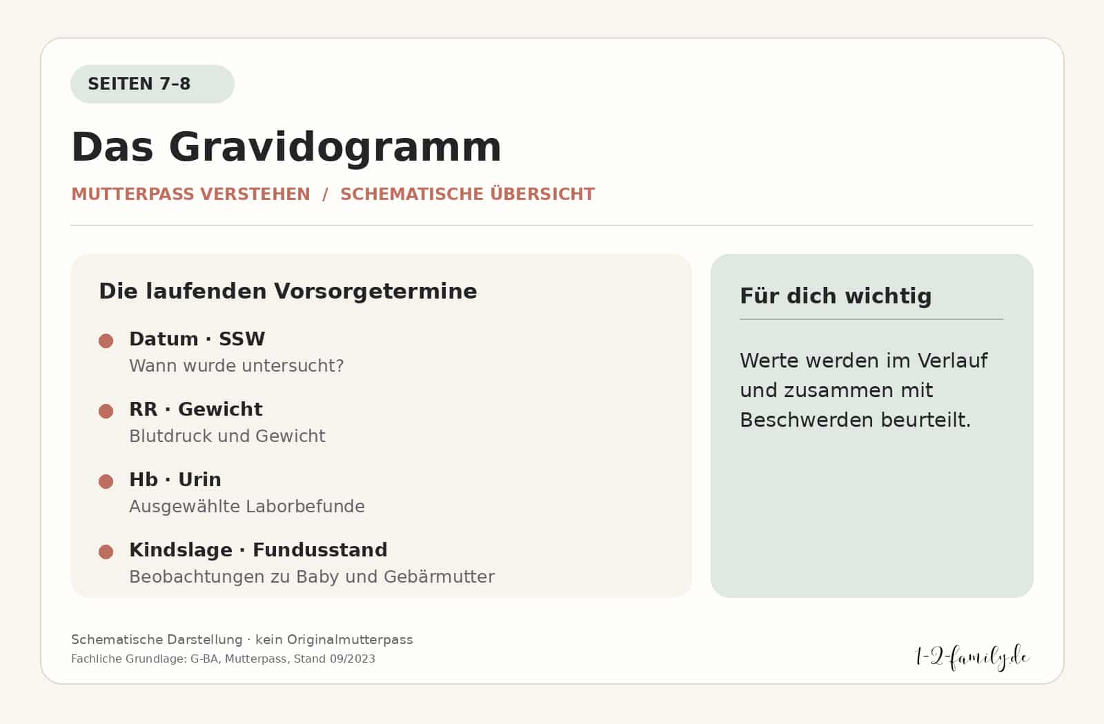 Schematische Übersicht des Gravidogramms auf den Mutterpass-Seiten 7 und 8 mit SSW, Blutdruck, Gewicht, Hb und Urin. Kein Originalmutterpass.
