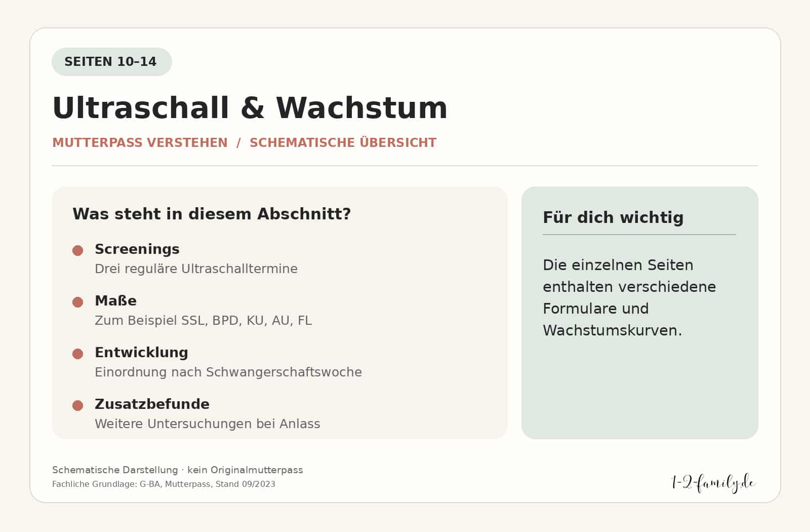 Schematische Übersicht der Mutterpass-Seiten 10 bis 14 mit Ultraschall-Screenings, Maßen und weiteren Befunden. Kein Originalmutterpass.
