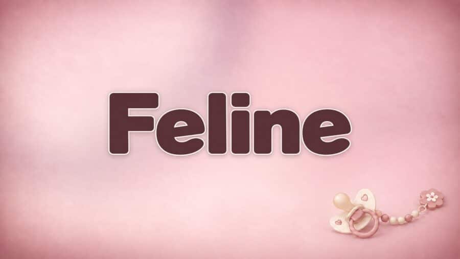 Feline – Bedeutung, Herkunft und Besonderheiten des Vornamens