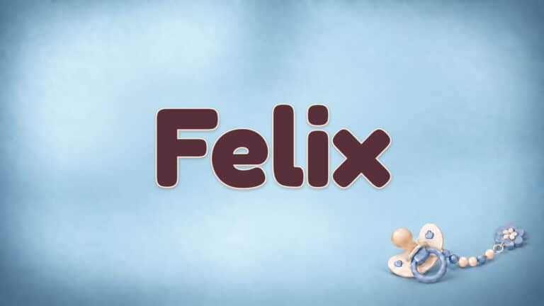 Der Vorname Felix in großer bordeauxfarbener Schrift auf dem Babynamen-Motiv