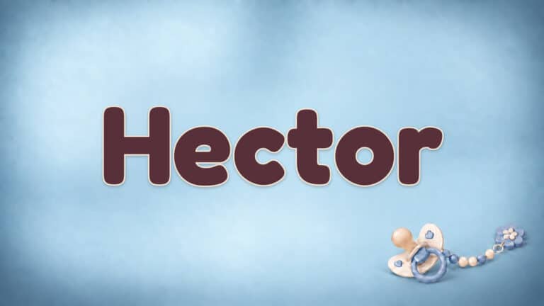 Der Vorname Hector in großer bordeauxfarbener Schrift auf dem Babynamen-Motiv