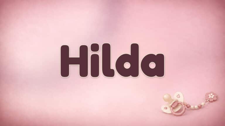 Der Vorname Hilda in großer bordeauxfarbener Schrift auf dem Babynamen-Motiv