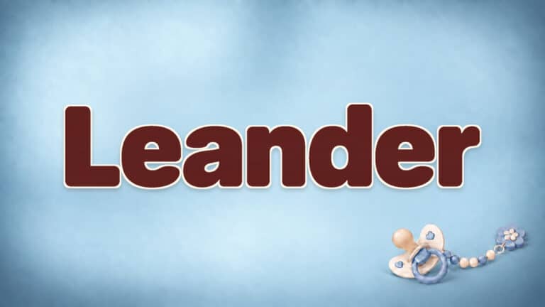Leander in brauner Namensschrift auf dem originalen babyblauen Hintergrund mit Schnuller