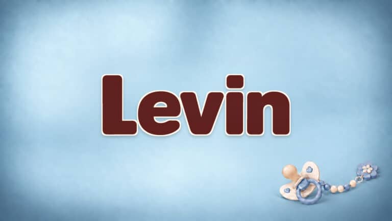 Levin in brauner Namensschrift auf dem originalen babyblauen Hintergrund mit Schnuller
