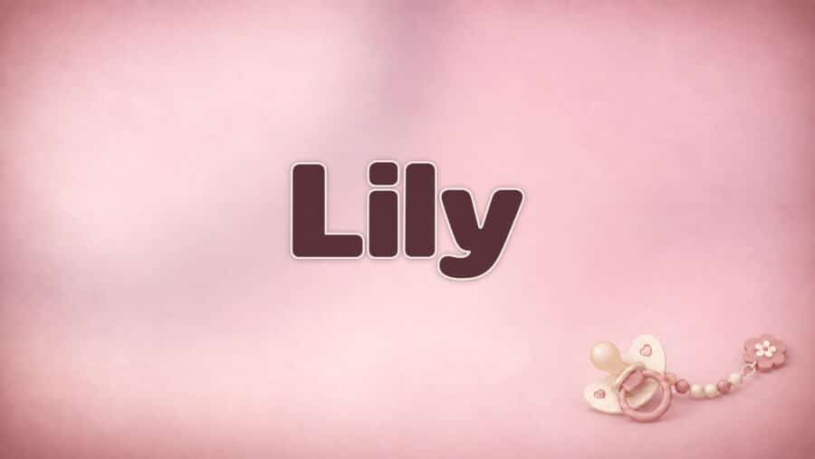 Lily – Bedeutung, Herkunft und Besonderheiten des Vornamens