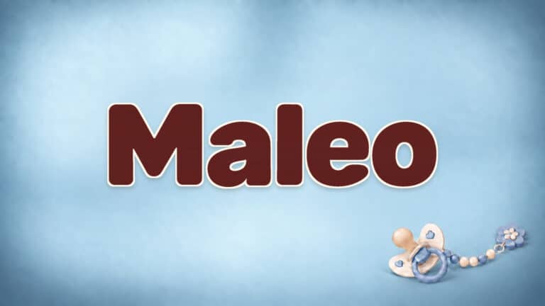 Maleo in brauner Namensschrift auf dem originalen babyblauen Hintergrund mit Schnuller