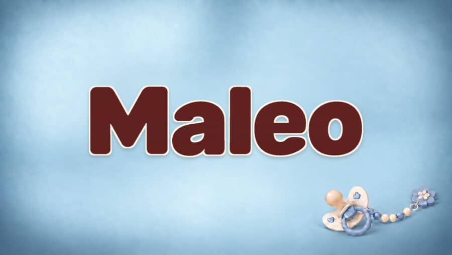 Maleo: Bedeutung, Herkunft und Besonderheiten des Vornamens