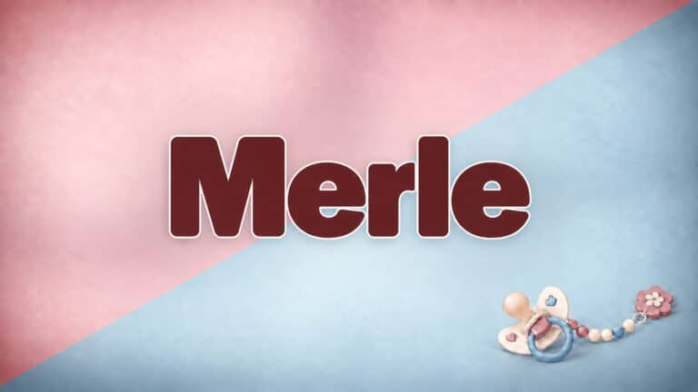 Merle als Vorname auf zweifarbigem rosa-blauem Titelbild mit Schnuller