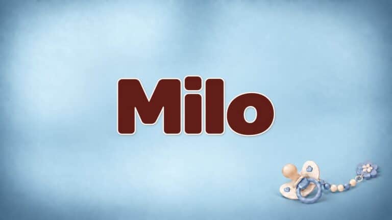 Der Vorname Milo in dunkelbrauner Rundschrift auf dem babyblauen Originalhintergrund mit Schnuller